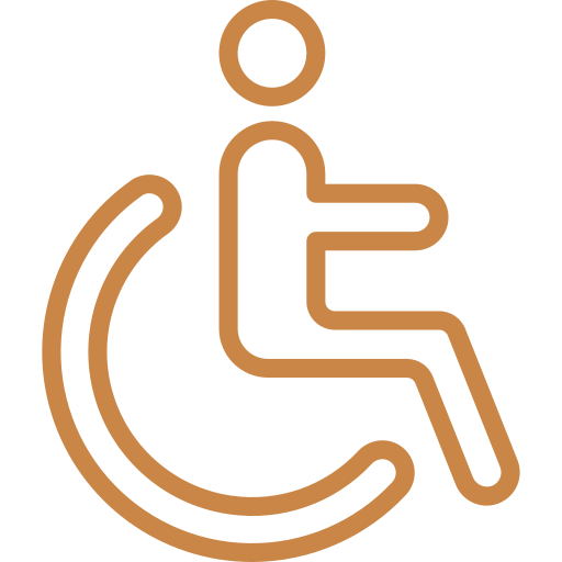 Drepturile persoanelor cu handicap